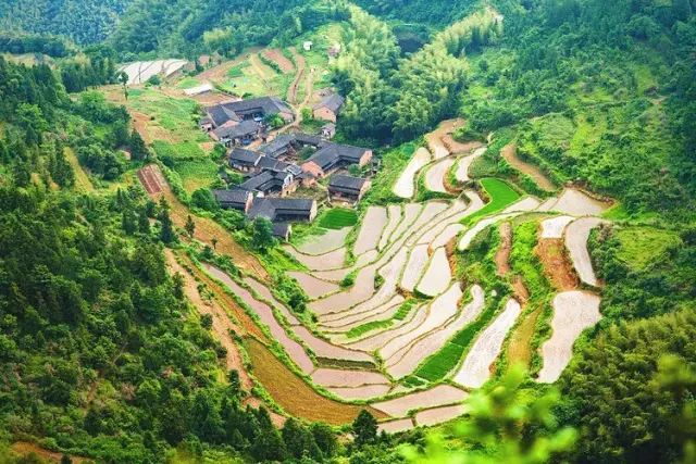 宁波枸杞岛图片大全_宁波到枸杞岛旅游攻略_宁波怎么枸杞岛