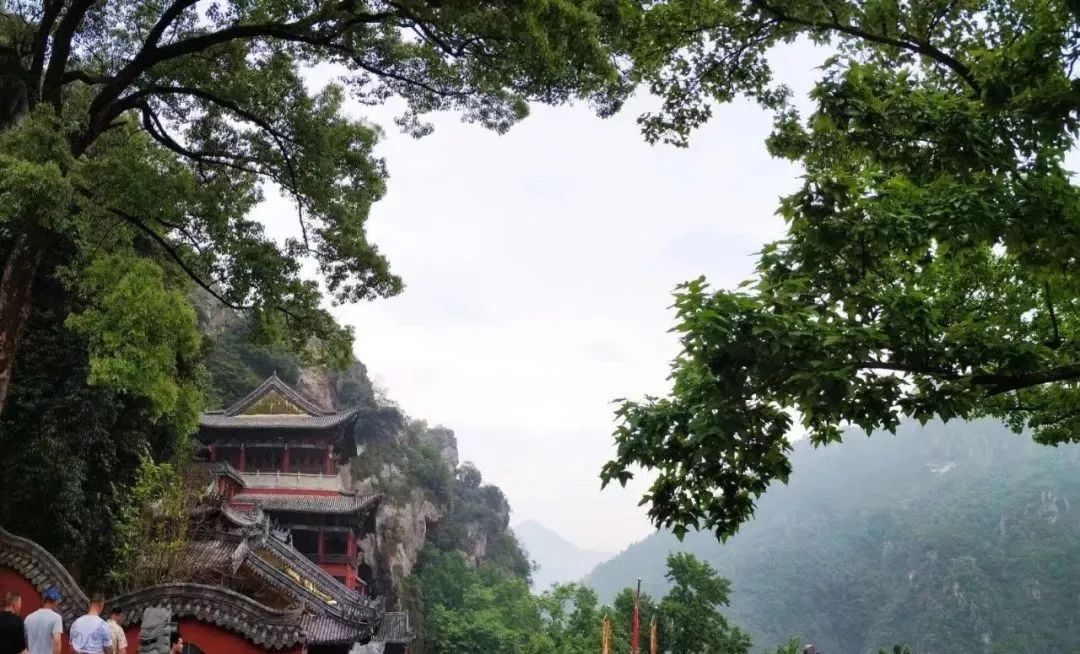 宁波怎么枸杞岛_宁波到枸杞岛旅游攻略_宁波枸杞岛图片大全