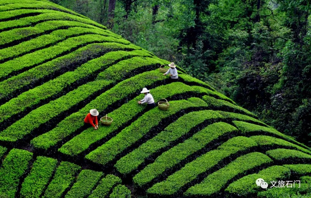 壶瓶山旅游攻略_壶瓶山避暑_壶瓶山顶