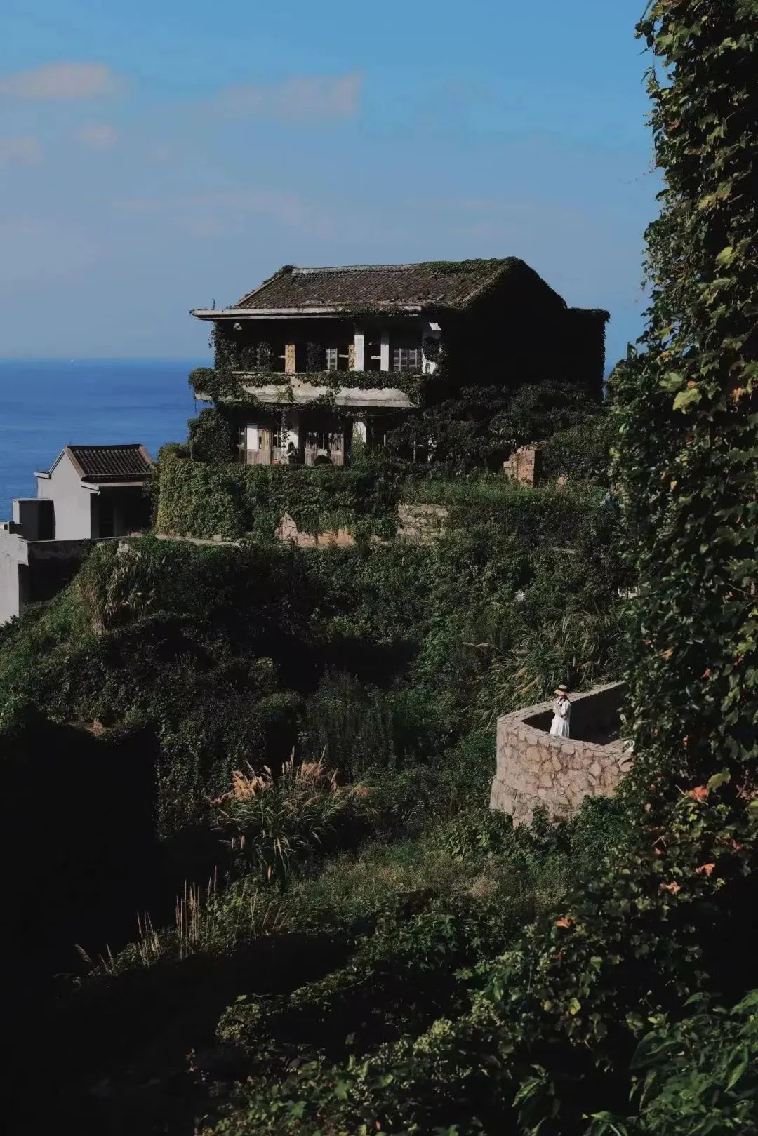 宁波枸杞岛好不好玩_宁波枸杞岛自驾游攻略_宁波到枸杞岛旅游攻略