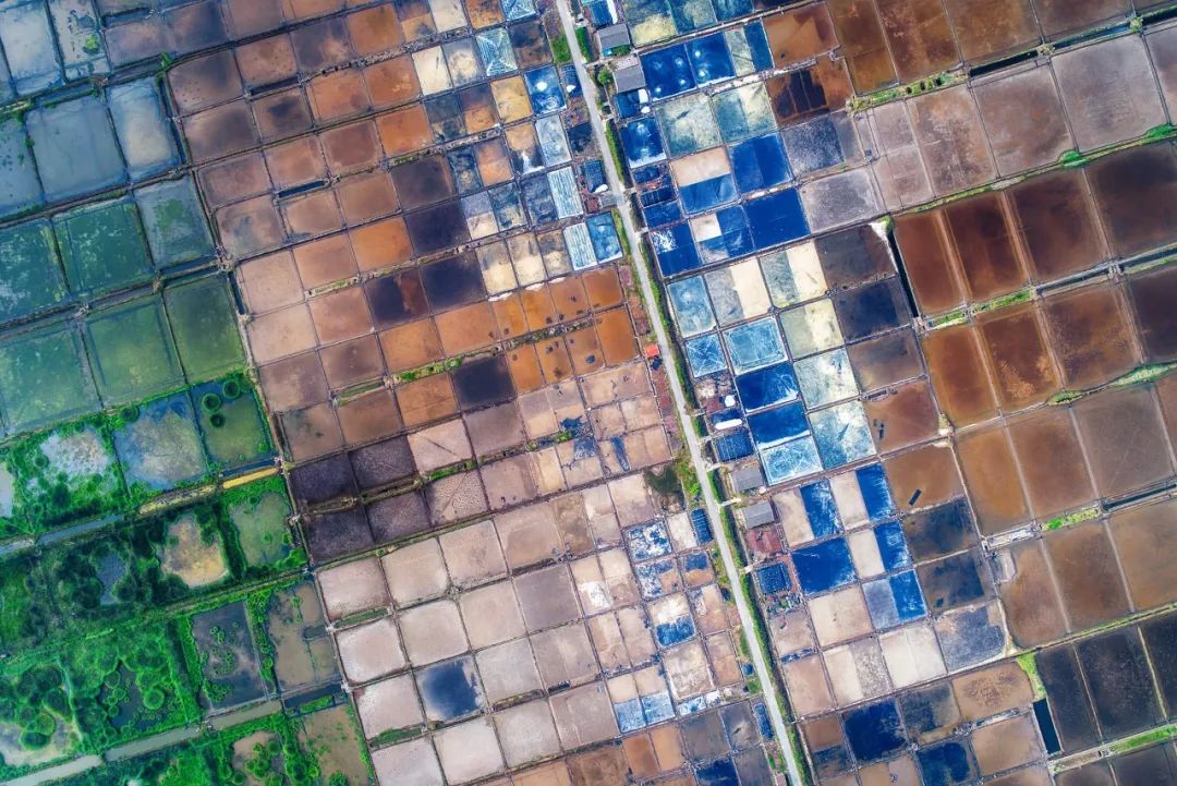 宁波到枸杞岛旅游攻略_宁波枸杞岛自驾游攻略_宁波枸杞岛好不好玩