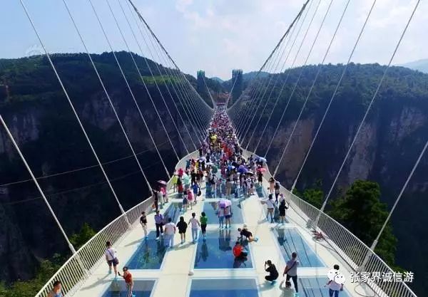 黄石寨旅游攻略_黄石寨风景_黄石寨景区门票