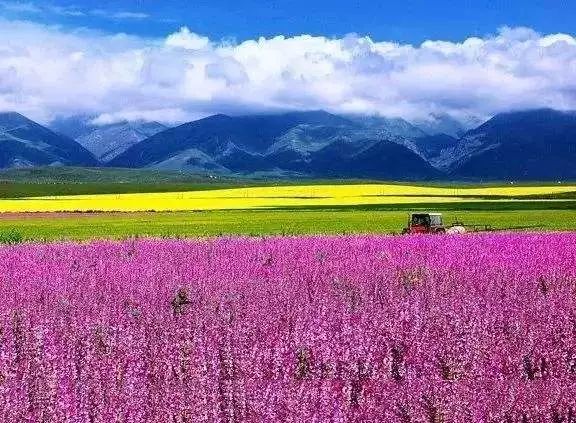 九江湖口天山旅游攻略_贵港平天山旅游攻略_新疆天山旅游攻略