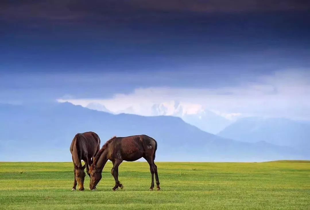 贵港平天山旅游攻略_九江湖口天山旅游攻略_新疆天山旅游攻略