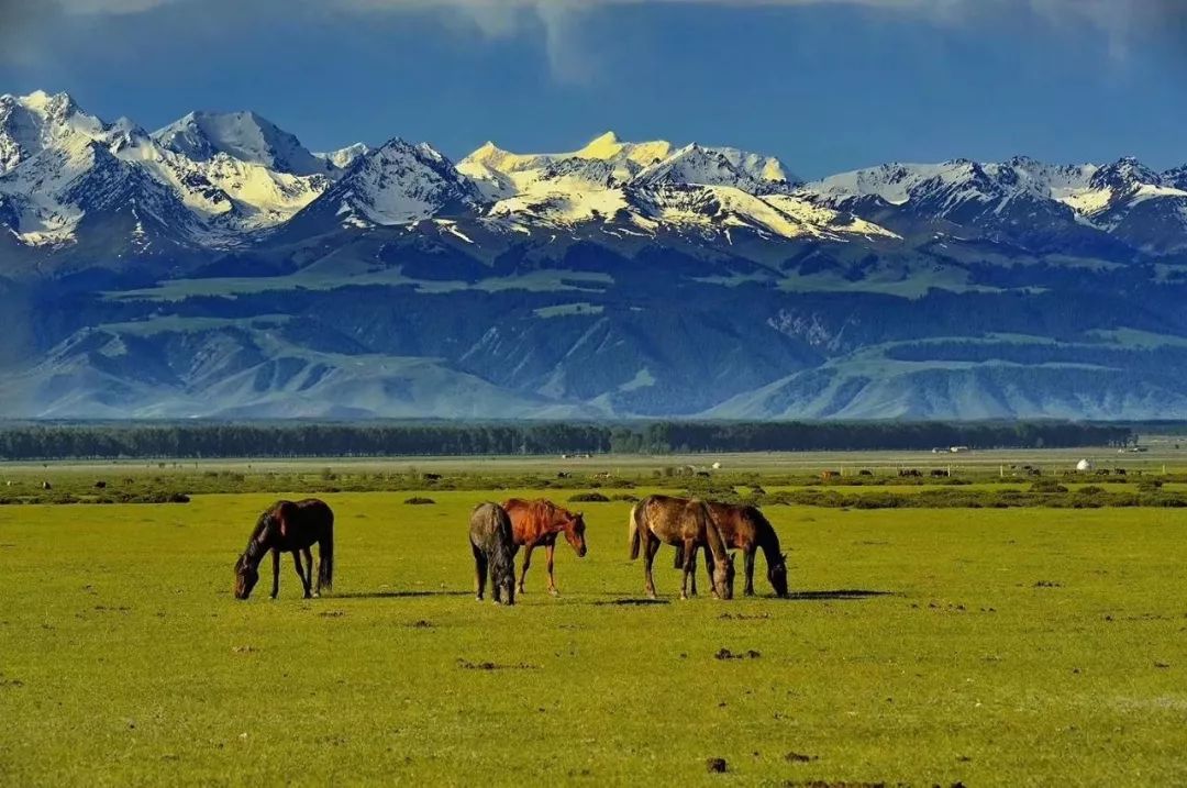 九江湖口天山旅游攻略_贵港平天山旅游攻略_新疆天山旅游攻略