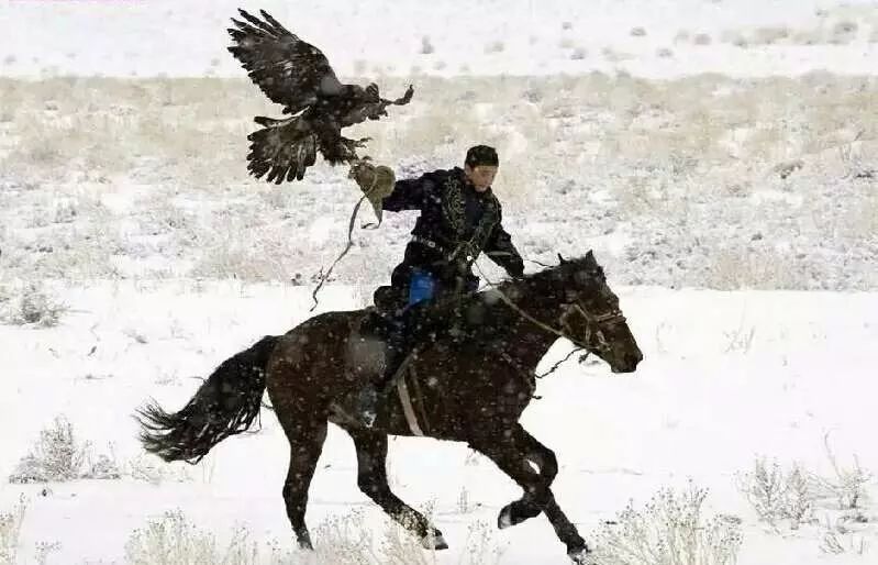 新疆天山旅游攻略_九江湖口天山旅游攻略_贵港平天山旅游攻略