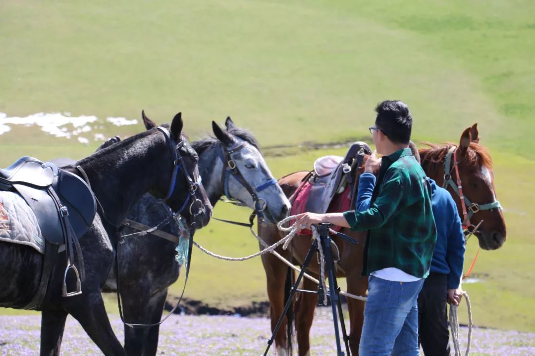 贵港平天山旅游攻略_新疆天山旅游攻略_九江湖口天山旅游攻略
