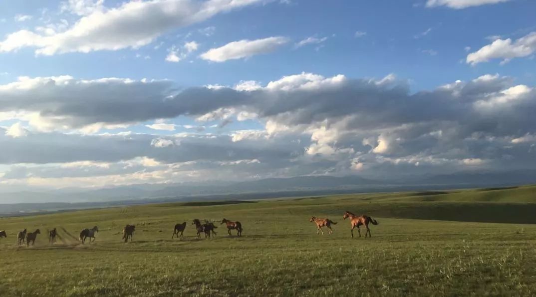 新疆天山旅游攻略_贵港平天山旅游攻略_九江湖口天山旅游攻略