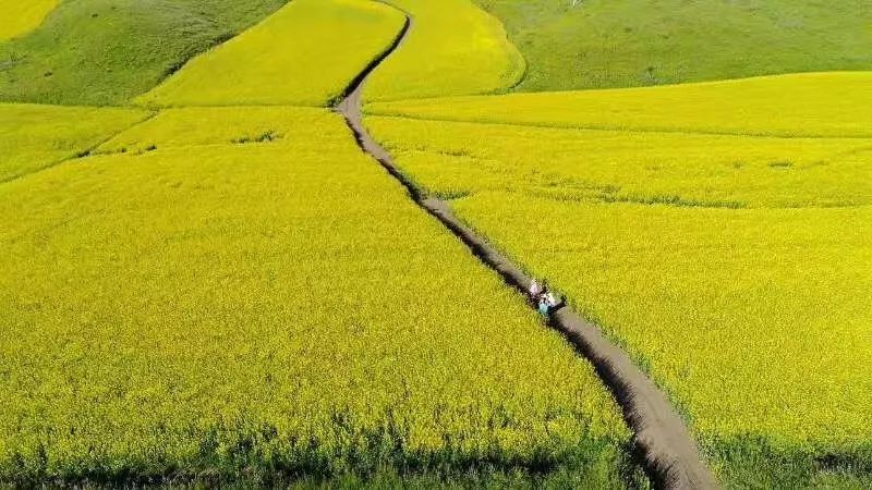 九江湖口天山旅游攻略_新疆天山旅游攻略_贵港平天山旅游攻略