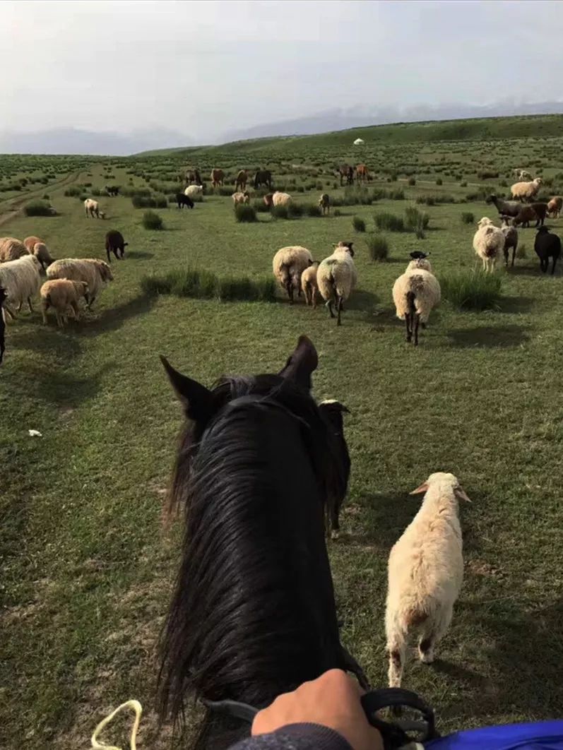 九江湖口天山旅游攻略_贵港平天山旅游攻略_新疆天山旅游攻略