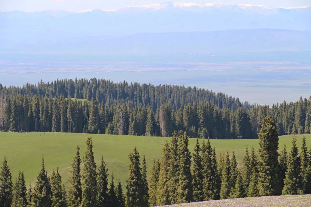 新疆天山旅游攻略_九江湖口天山旅游攻略_贵港平天山旅游攻略