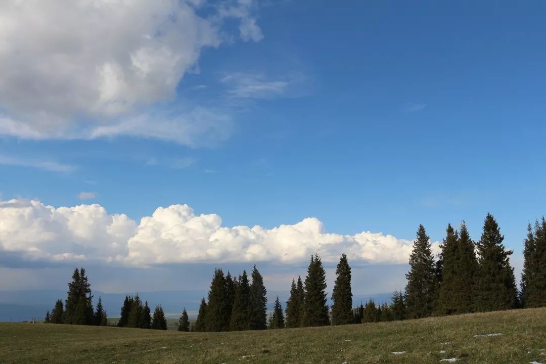 新疆天山旅游攻略_九江湖口天山旅游攻略_贵港平天山旅游攻略