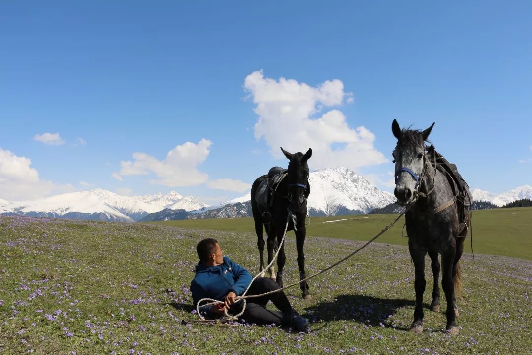 九江湖口天山旅游攻略_贵港平天山旅游攻略_新疆天山旅游攻略