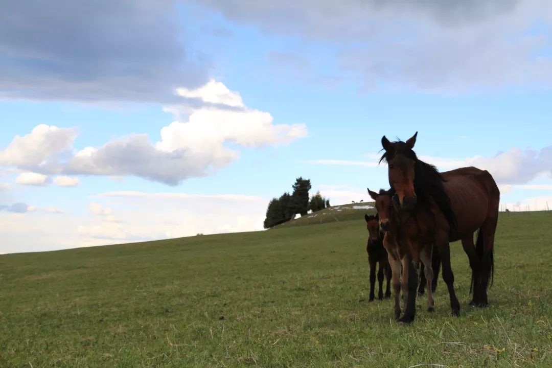 新疆天山旅游攻略_九江湖口天山旅游攻略_贵港平天山旅游攻略
