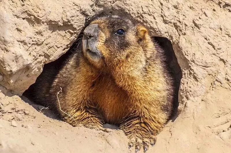 新疆天山旅游攻略_九江湖口天山旅游攻略_贵港平天山旅游攻略