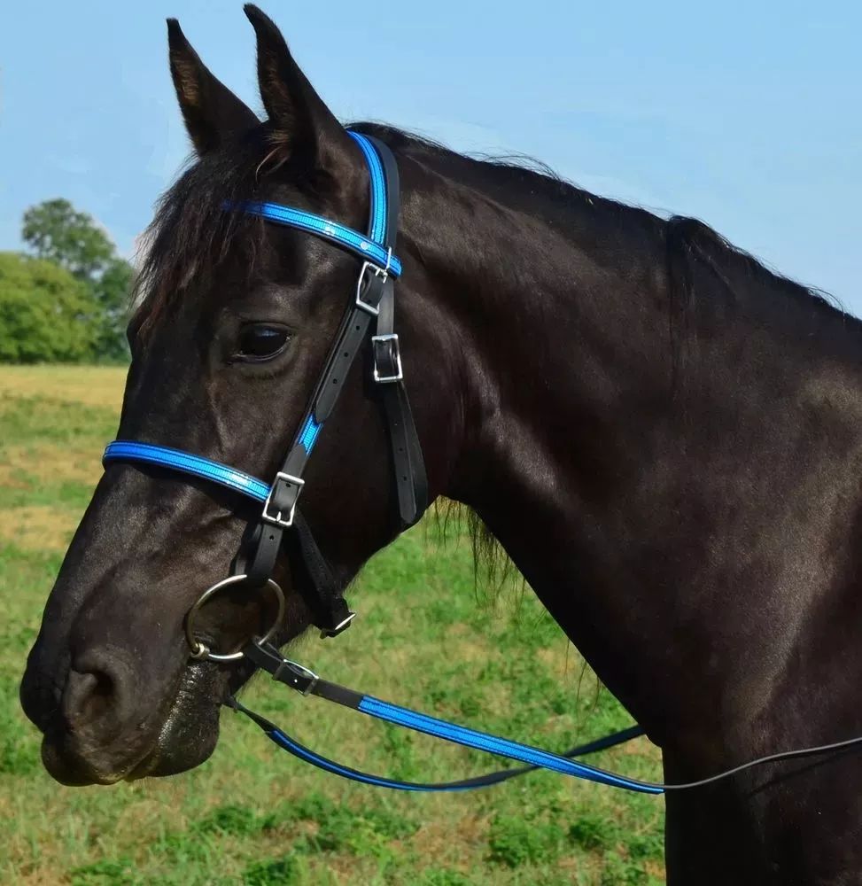 九江湖口天山旅游攻略_新疆天山旅游攻略_贵港平天山旅游攻略