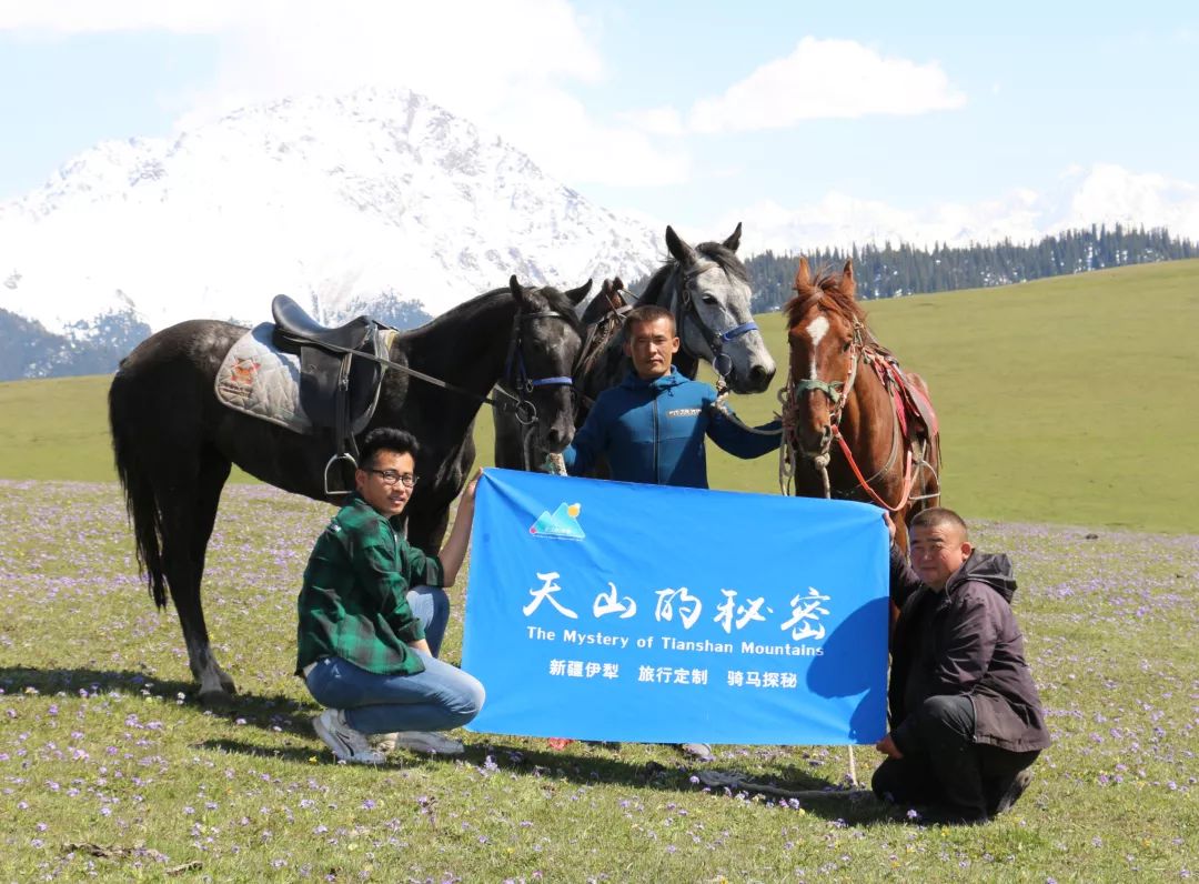 九江湖口天山旅游攻略_贵港平天山旅游攻略_新疆天山旅游攻略