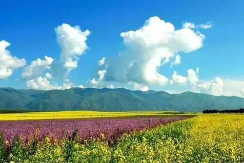 贵港平天山旅游攻略_新疆天山旅游攻略_九江湖口天山旅游攻略