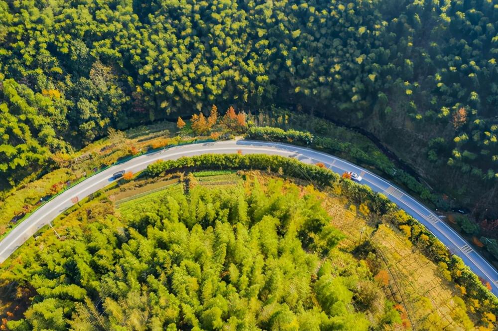 浙江长兴旅游景点_浙江长兴一日游_浙江长兴旅游攻略