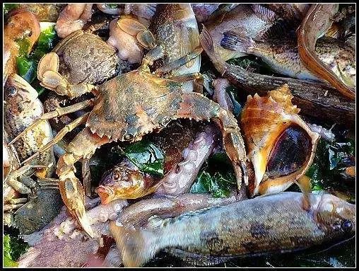 攻略象山旅游去哪里玩_去象山旅游攻略_攻略象山旅游去哪里好