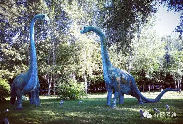 哈尔滨到鲅鱼圈旅游攻略-哈尔滨鲅鱼圈多少公里(图39) 哈尔滨到鲅鱼圈旅游攻略_哈尔滨鲅鱼圈多少公里_哈尔滨去鲅鱼圈旅游多少钱