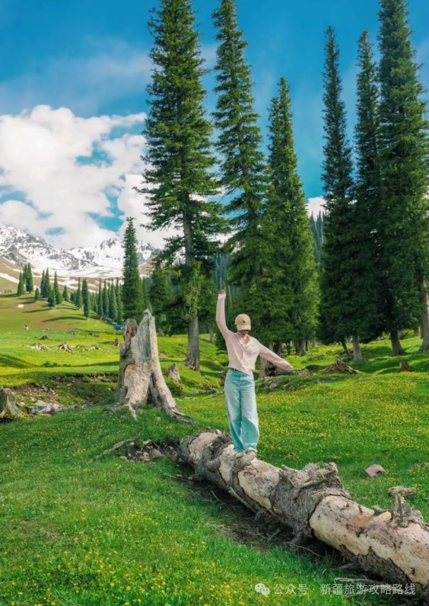 新疆天山旅游攻略_乌鲁木齐天山牧场旅游攻略_九天山旅游攻略