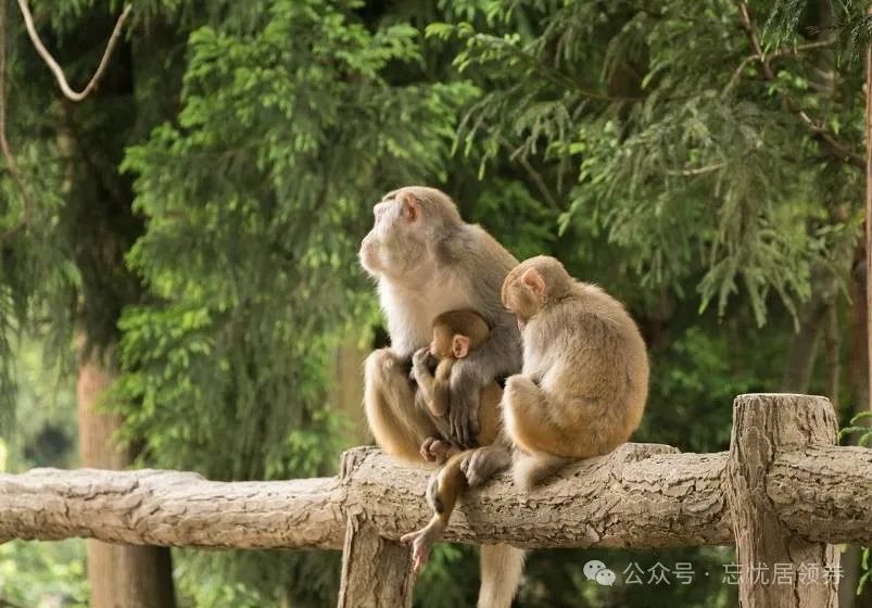 黄石寨旅游线路_黄石寨旅游攻略_黄石寨怎么样