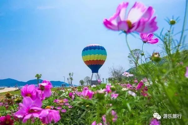 去象山旅游攻略-象山旅行攻略(图55) 去象山旅游攻略_象山旅行攻略_攻略象山旅游去哪里好