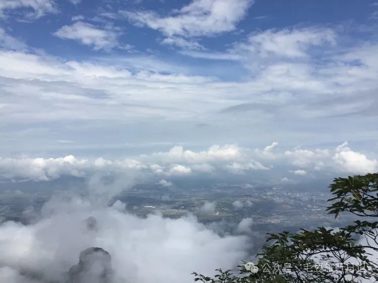 黄石寨旅游攻略-黄石寨旅游线路(图13) 黄石寨旅游攻略_黄石寨旅游线路_黄石寨景区门票