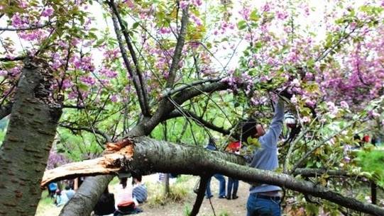 云南弥勒旅游攻略-云南弥勒旅游路线(图13) 云南弥勒旅游路线_云南攻略弥勒旅游景点_云南弥勒旅游攻略