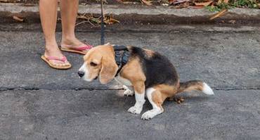 云南弥勒旅游攻略-云南弥勒旅游路线(图30) 云南弥勒旅游路线_云南弥勒旅游攻略_云南攻略弥勒旅游景点