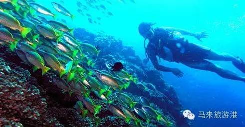 吉隆坡旅游攻略-吉隆坡的旅游景点(图16) 吉隆坡旅行攻略_吉隆坡旅游攻略_吉隆坡的旅游景点