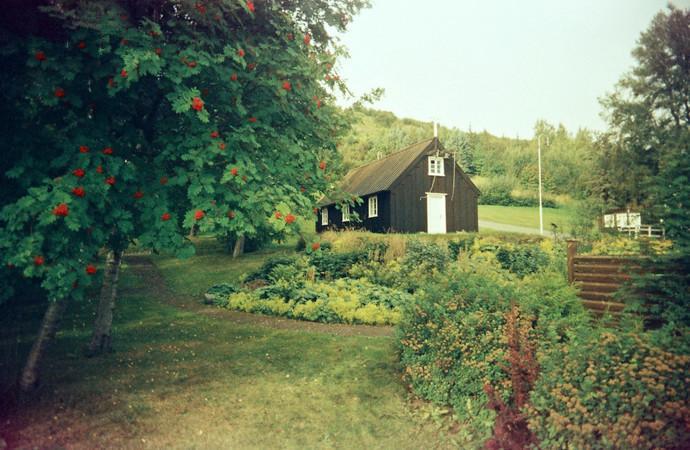冰岛的北极光有什么特点_攻略冰岛寻找旅游北极光的地方_寻找北极光｜冰岛旅游攻略