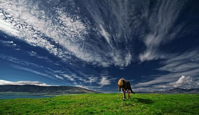 寻找北极光｜冰岛旅游攻略_攻略冰岛寻找旅游北极光的地方_冰岛的北极光有什么特点