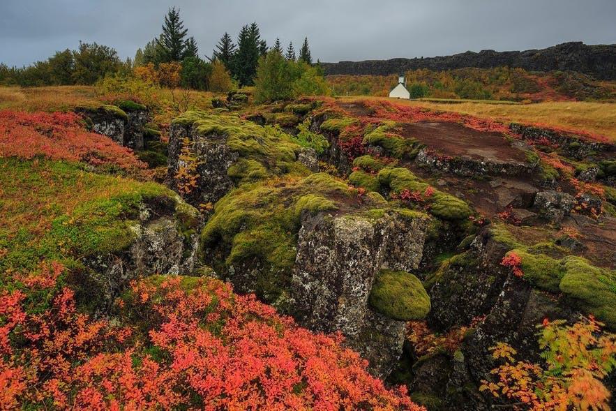 寻找北极光｜冰岛旅游攻略_攻略冰岛寻找旅游北极光的地方_冰岛的北极光有什么特点