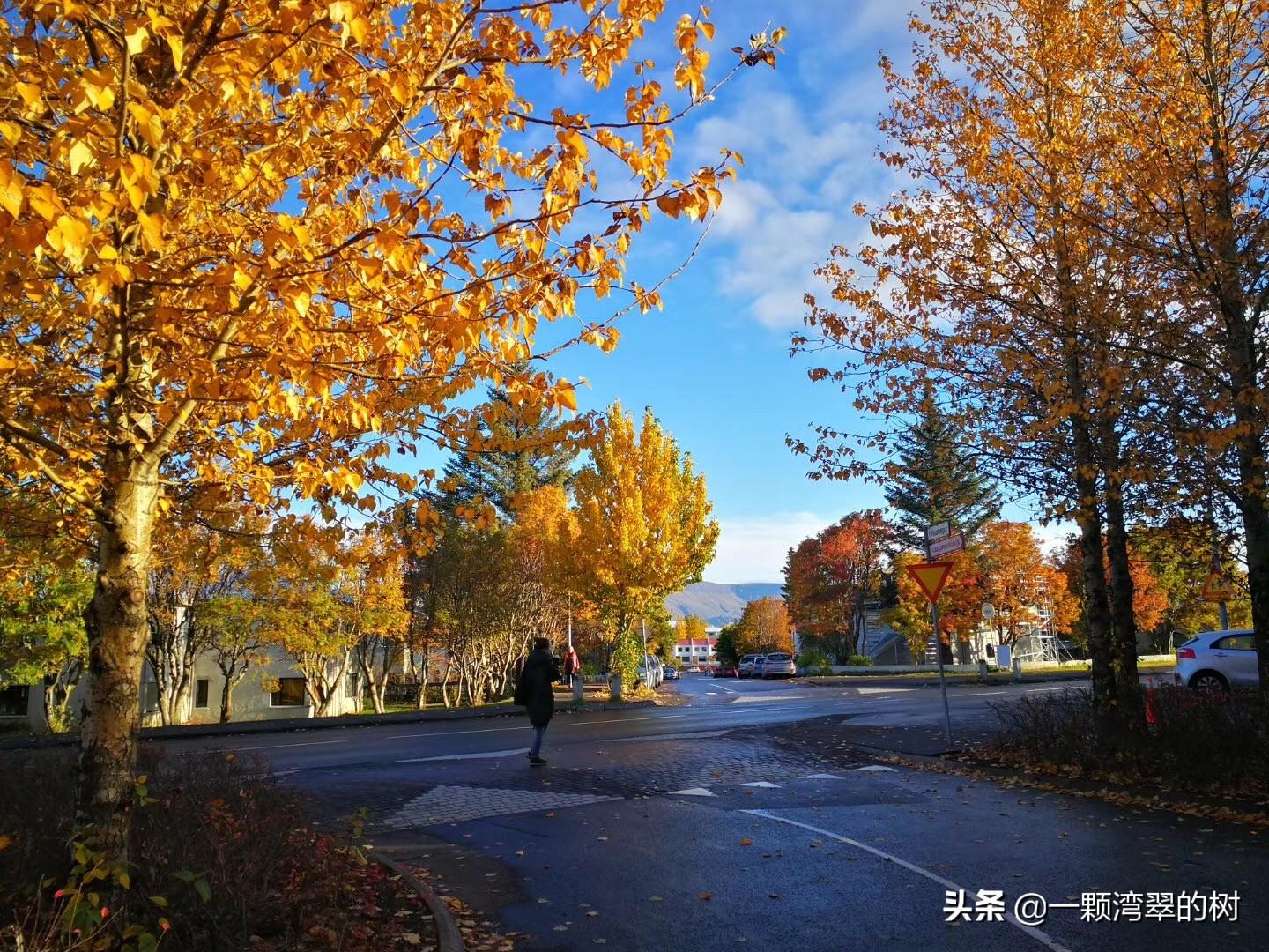 冰岛北极光什么时候能看到_寻找北极光｜冰岛旅游攻略_攻略冰岛寻找旅游北极光的地方