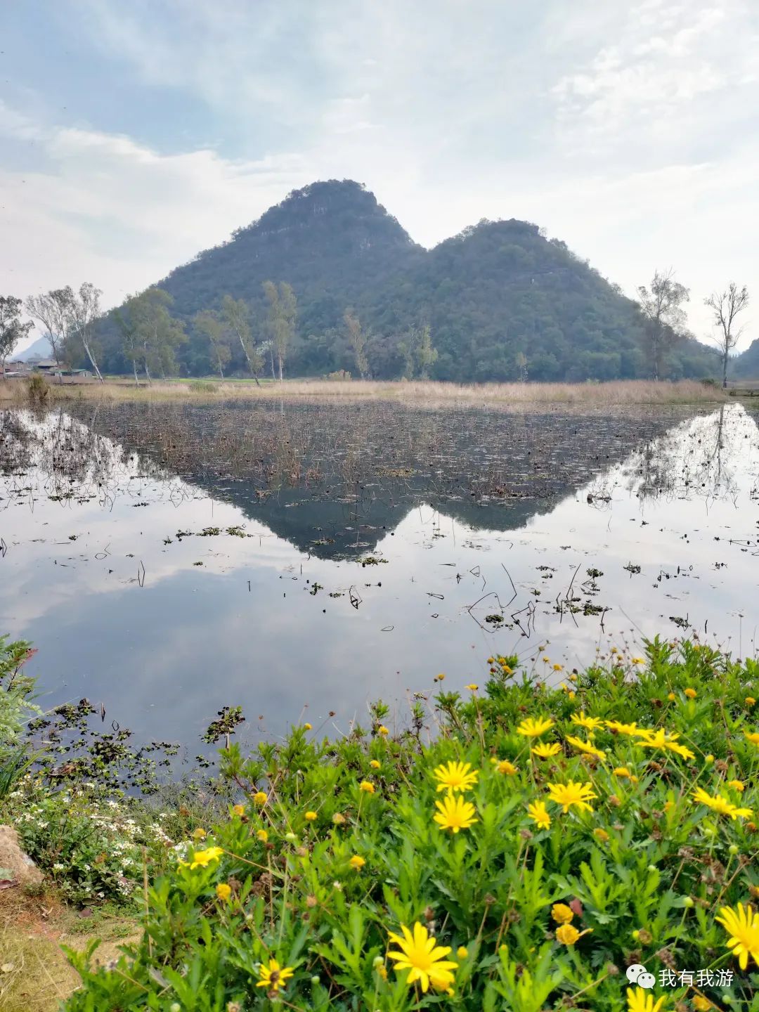 普者黑旅游攻略-普者黑旅游需要注意什么(图14) 普者黑旅游路线_普者黑旅游攻略_普者黑旅游需要注意什么