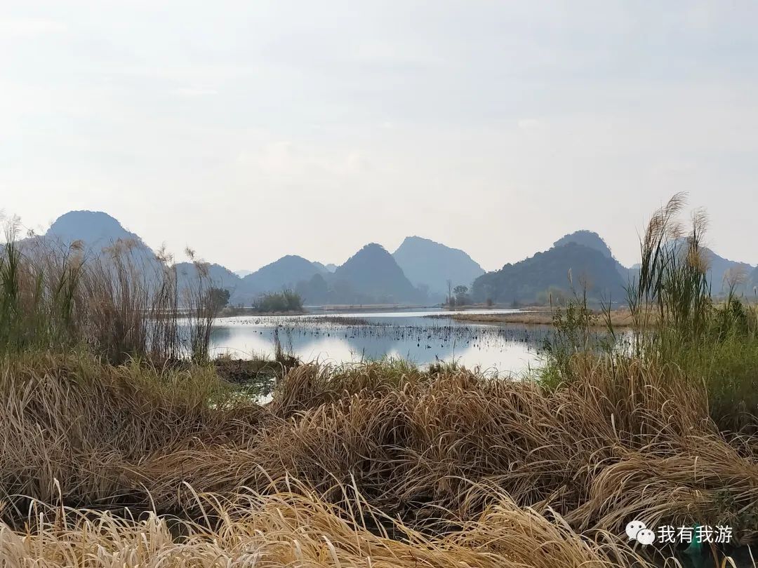 普者黑旅游攻略-普者黑旅游需要注意什么(图15) 普者黑旅游路线_普者黑旅游需要注意什么_普者黑旅游攻略