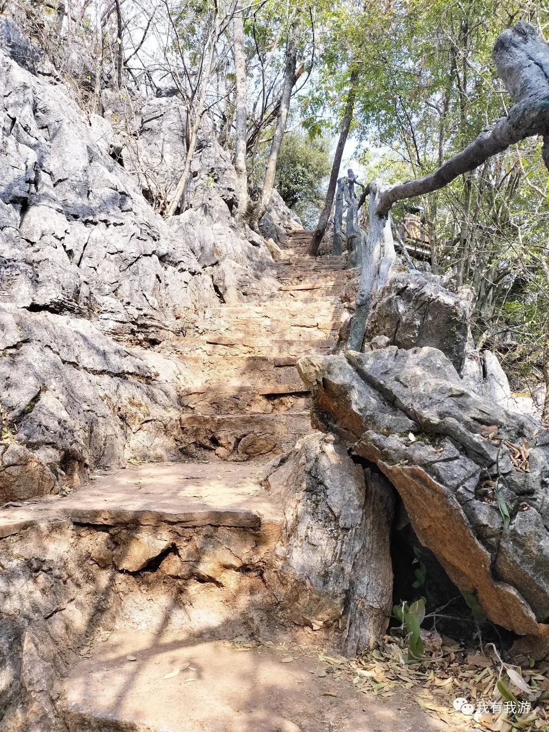 普者黑旅游攻略-普者黑旅游需要注意什么(图20) 普者黑旅游需要注意什么_普者黑旅游路线_普者黑旅游攻略