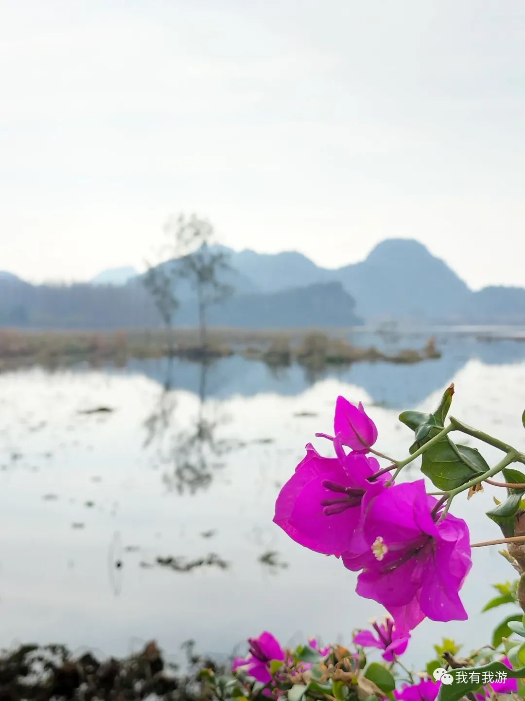 普者黑旅游攻略-普者黑旅游需要注意什么(图10) 普者黑旅游攻略_普者黑旅游路线_普者黑旅游需要注意什么