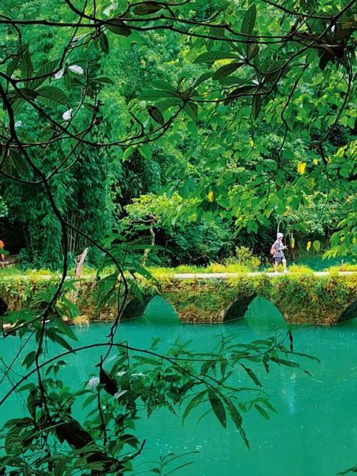 贵阳黄果树瀑布景区_贵阳黄果树瀑布自由行旅游攻略_贵阳黄果树瀑布门票多少