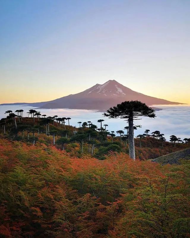 喜马拉雅山旅游攻略_喜马拉雅山好玩吗_喜马拉雅山旅行攻略