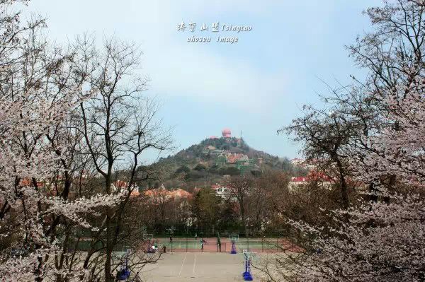 青岛攻略旅游小镇推荐_小青岛旅游攻略_青岛旅游打卡攻略