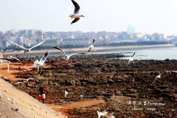 小青岛旅游攻略_青岛旅游打卡攻略_青岛攻略旅游小镇推荐