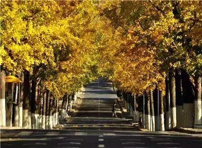 青岛攻略旅游小镇推荐_青岛旅游打卡攻略_小青岛旅游攻略