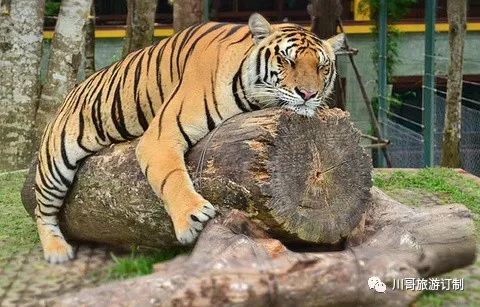 泰国普吉岛自由行旅游攻略_去泰国普吉岛旅游攻略_泰国旅游景点普吉岛