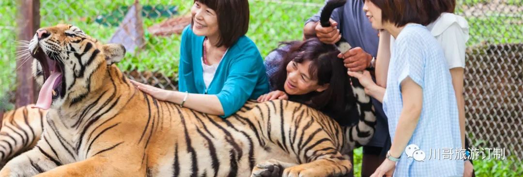 泰国普吉岛自由行旅游攻略_泰国旅游景点普吉岛_去泰国普吉岛旅游攻略