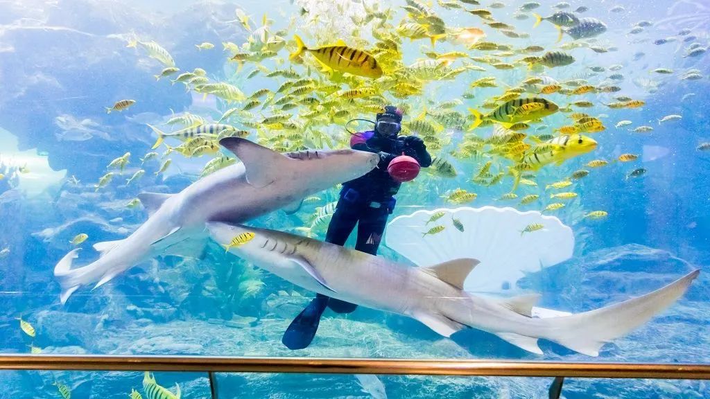 青岛小众旅游攻略_青岛攻略旅游小镇推荐_小青岛旅游攻略