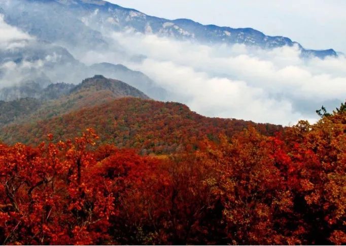 右玉旅游攻略_右玉景点游览顺序_右玉旅游攻略地图