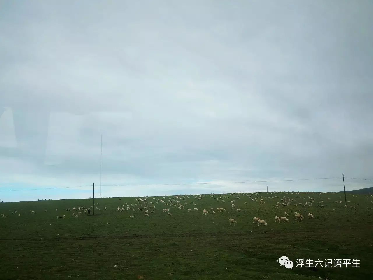 青海湖到西安自驾游攻略_青海湖到西安沿途风景_西安到青海湖旅游攻略
